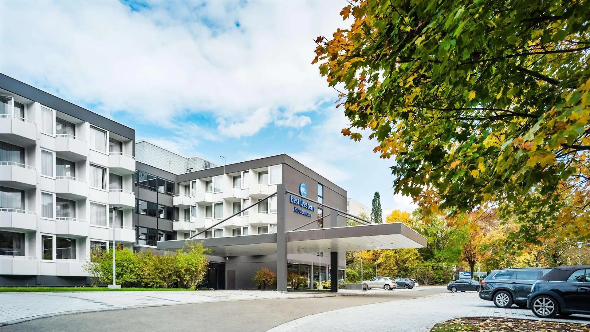 Staying Near Kaiserslautern Zoo: 5 Family Hotels Compared