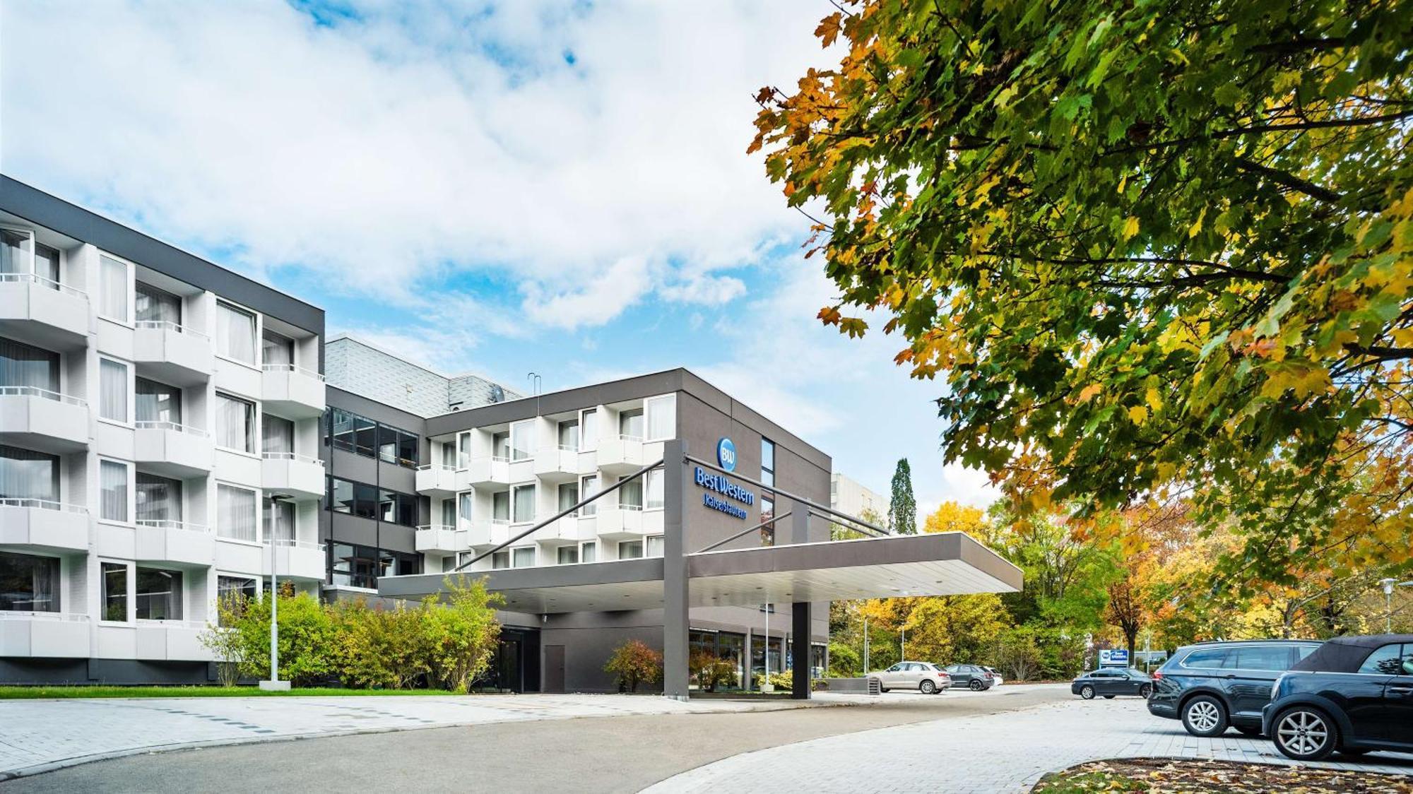 Staying Near Kaiserslautern Zoo: 5 Family Hotels Compared